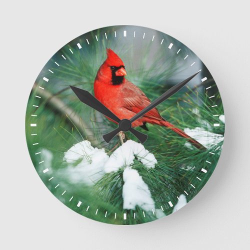 Northern Cardinal male on tree IL Round Clock