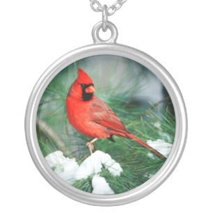 Northern Cardinal male on tree, IL Silver Plated Necklace