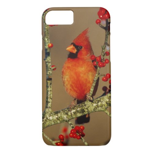 Northern Cardinal male perched IL iPhone 87 Case