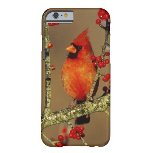 Northern Cardinal male perched IL Barely There iPhone 6 Case