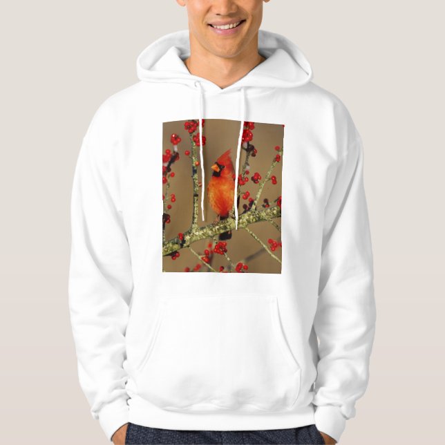 Northern Cardinal male perched, IL Hoodie (Front)