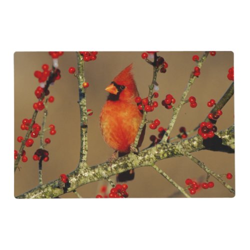 Northern Cardinal male perched IL Placemat