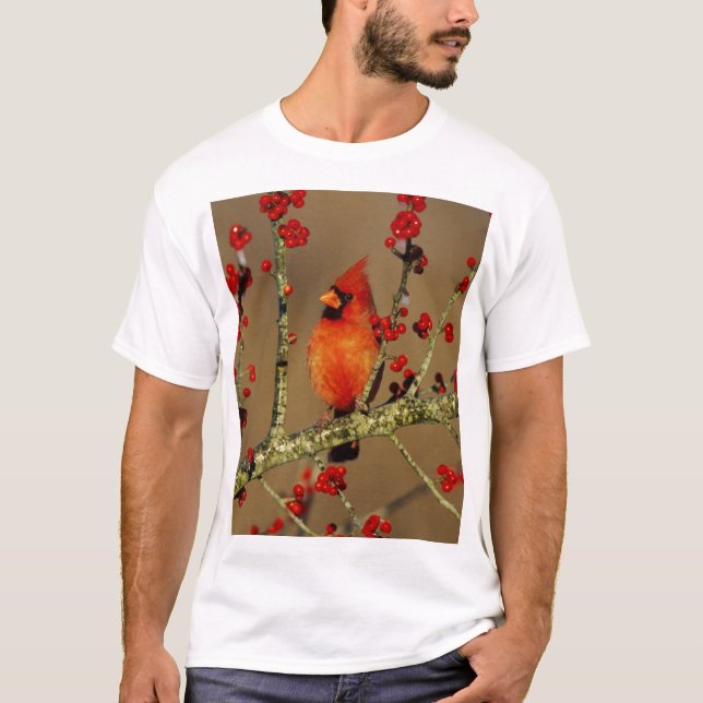 Northern Cardinal male perched, IL T-Shirt (Front)