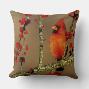 Northern Cardinal male perched, IL Throw Pillow
