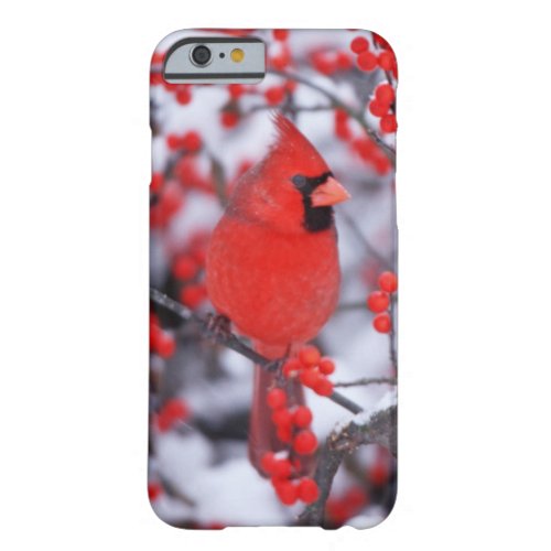 Northern Cardinal male Winter IL Barely There iPhone 6 Case