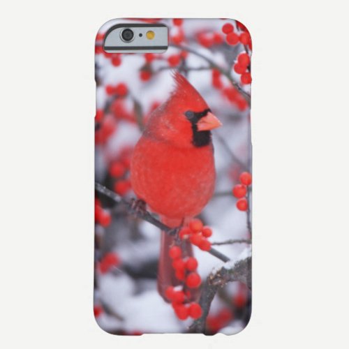 Northern Cardinal male, Winter, IL Barely There iPhone 6 Case