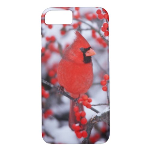Northern Cardinal male Winter IL iPhone 87 Case