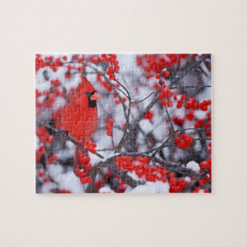 Northern Cardinal male Winter IL Jigsaw Puzzle