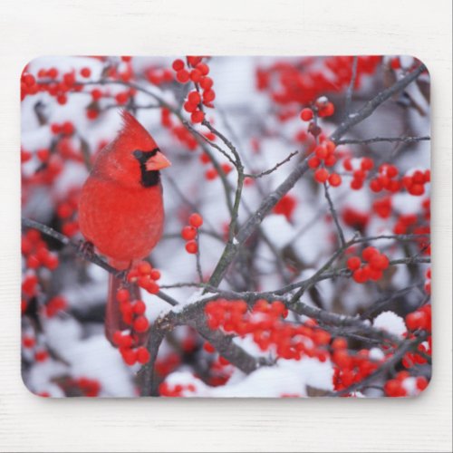 Northern Cardinal male Winter IL Mouse Pad