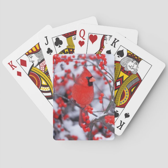 Northern Cardinal male, Winter, IL Poker Cards (Back)