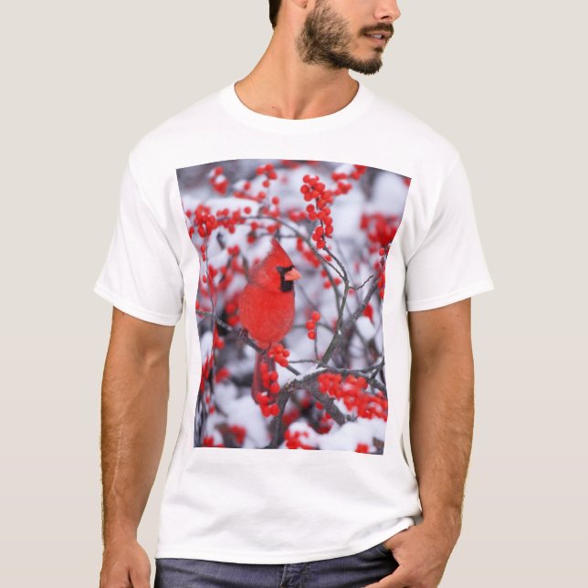 Northern Cardinal male, Winter, IL T-Shirt (Front)