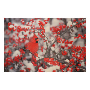 Northern Cardinal male, Winter, IL Wood Wall Decor