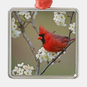 Northern Cardinal Metal Ornament