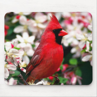 Northern Cardinal Mouse Pad