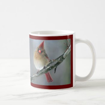 Northern Cardinal Mug by Considernature at Zazzle