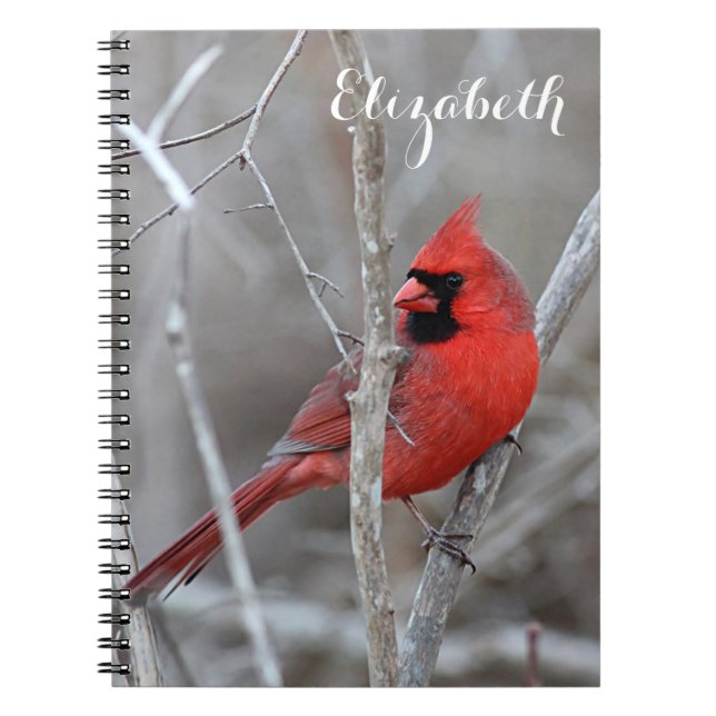 Northern Cardinal Notebook (Front)