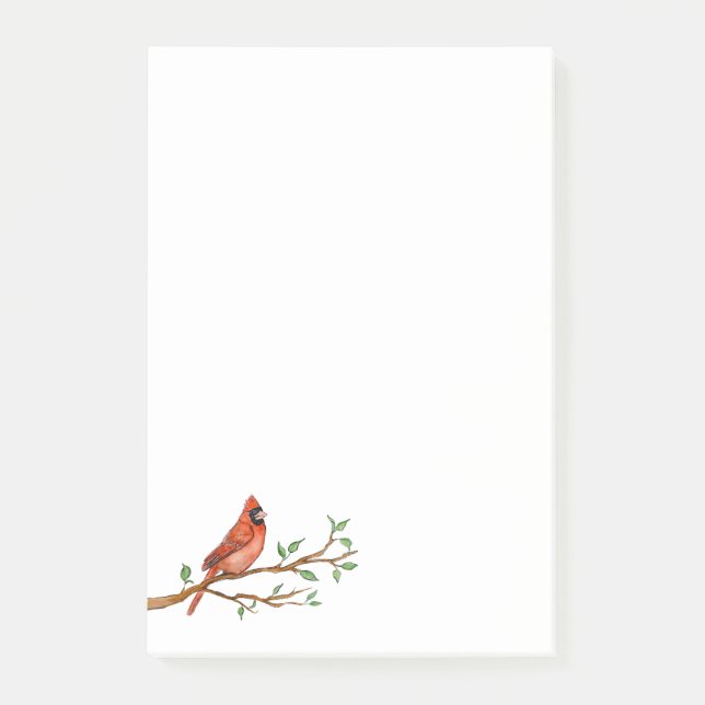 Northern Cardinal Notes (Front)