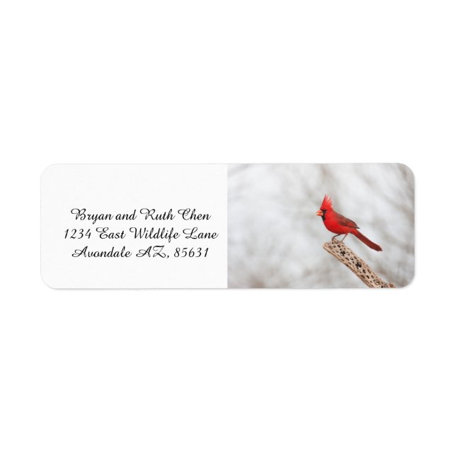 Northern Cardinal on a branch Label (Front)