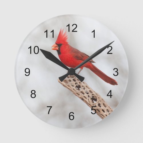 Northern Cardinal on a branch Round Clock