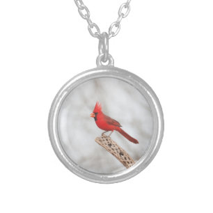 Northern Cardinal on a branch Silver Plated Necklace