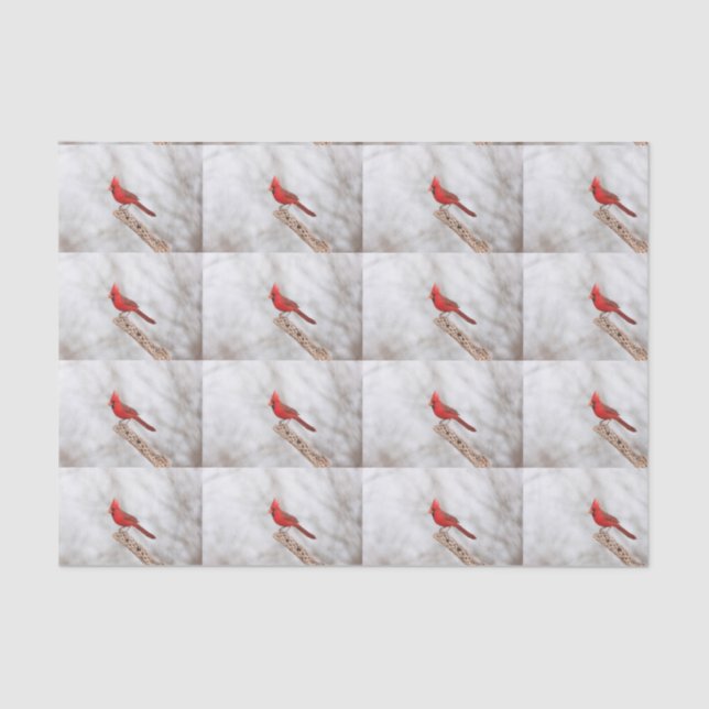 Northern Cardinal on a branch Tissue Paper (Front)