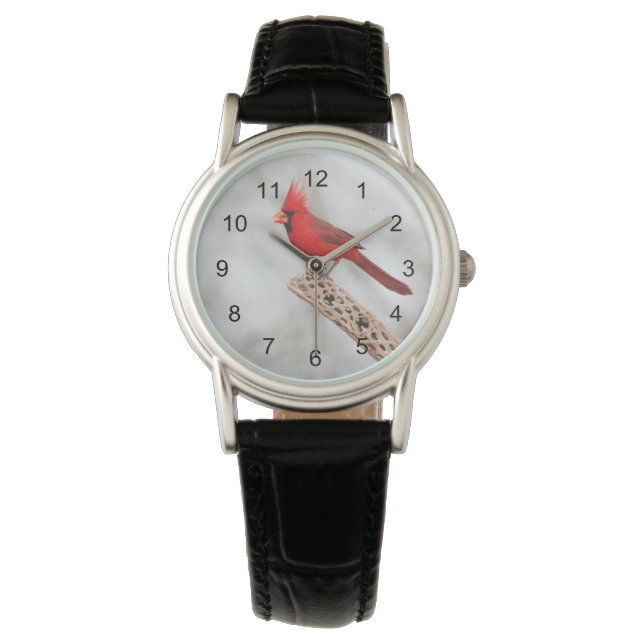 Northern Cardinal on a branch Watch (Front)