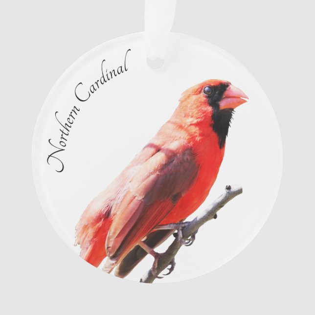 Northern Cardinal Ornament (Front)