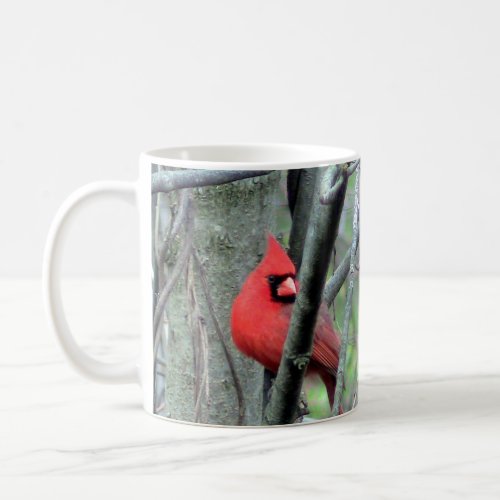 Northern Cardinal Pair Spring Mug
