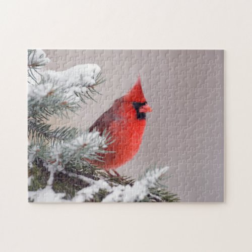 Northern Cardinal Perched In A Tree Jigsaw Puzzle