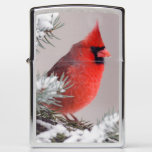 Northern Cardinal Perched In A Tree Zippo Lighter at Zazzle