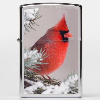Northern Cardinal Perched In A Tree Zippo Lighter by happyholidays at Zazzle