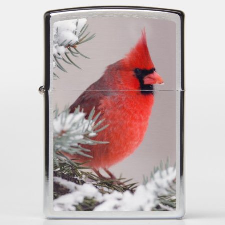 Northern Cardinal Perched In A Tree Zippo Lighter