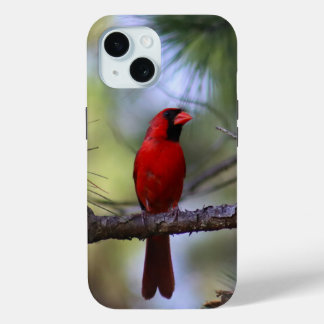 Northern Cardinal Phone Case