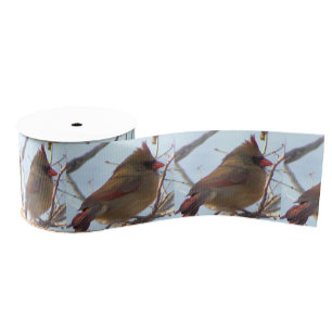 Northern Cardinal Photo Ribbon 