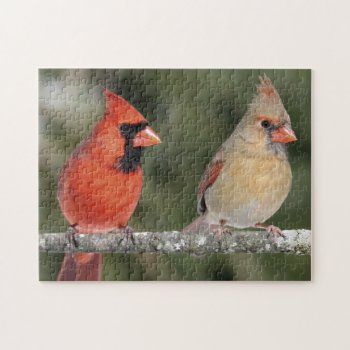 Northern Cardinal Photograph Puzzle by themollywogpost at Zazzle