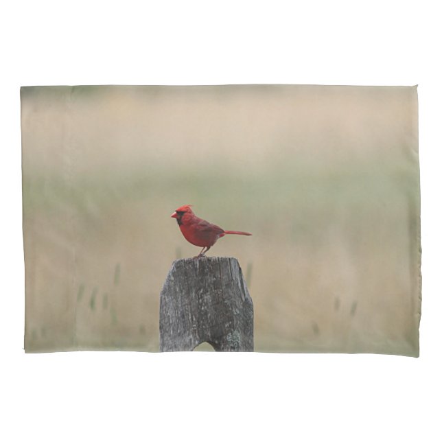 Northern cardinal pillow case (Front)