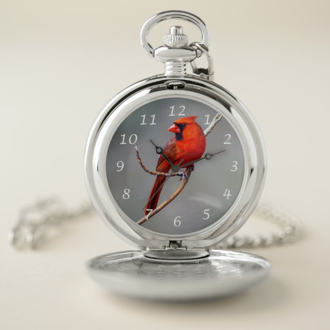Northern Cardinal Pocket Watch (Inside)