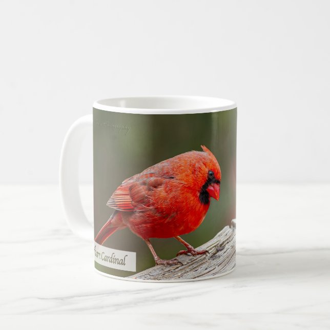 Northern Cardinal Psalm 145:14 KJV Coffee Mug (Front Left)