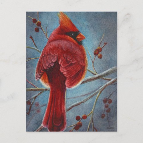 Northern Cardinal Red Bird Berries Watercolor Art Postcard