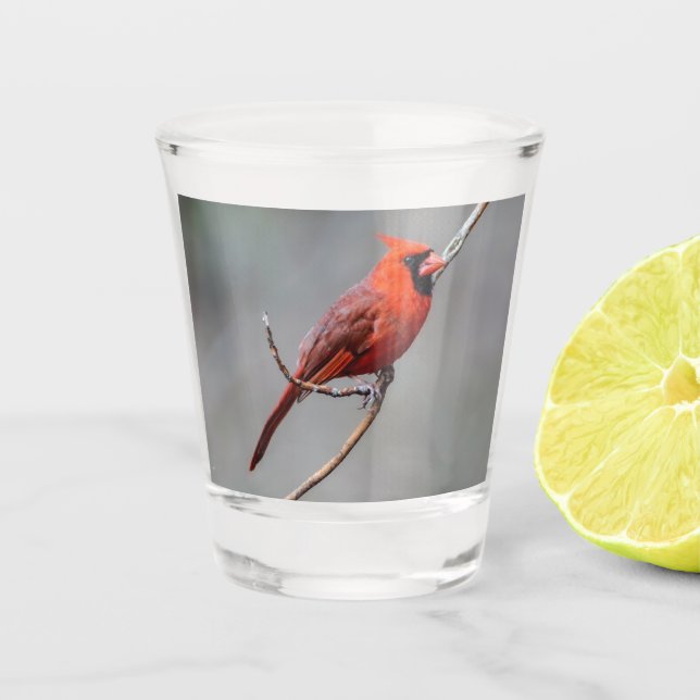 Northern Cardinal Shot Glass (Front)