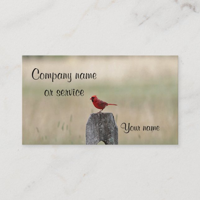 Northern cardinal standing on a fence post business card (Front)