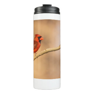 Northern Cardinal Thermal Tumbler
