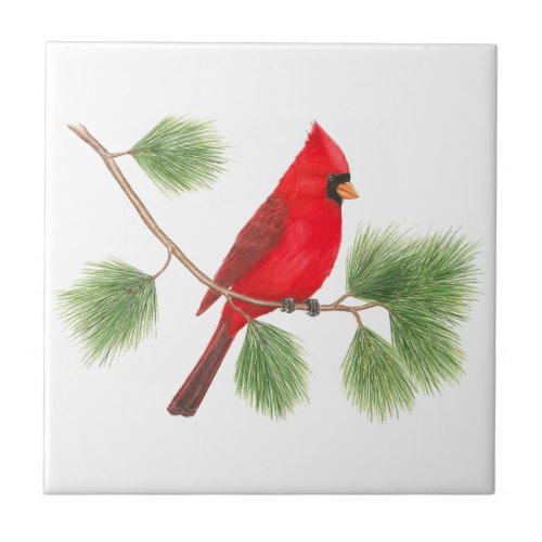 Northern Cardinal Tile