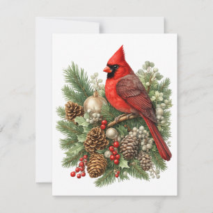 Northern Cardinal Winter Songbirds Collection Note Card