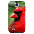 Northern cardinals