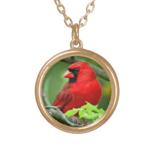 Northern cardinals gold plated necklace