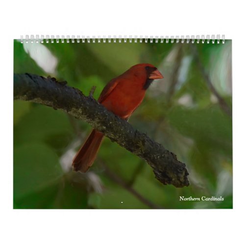 Northern Cardinals in Hawaii Calendar