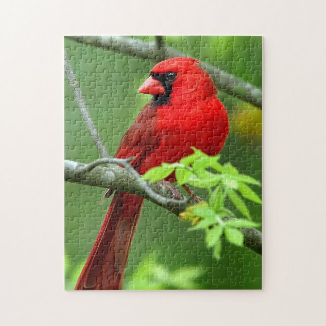 Northern cardinals jigsaw puzzle (Vertical)