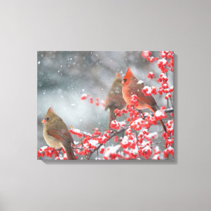 Northern Cardinals   Marion, Illinois Canvas Print