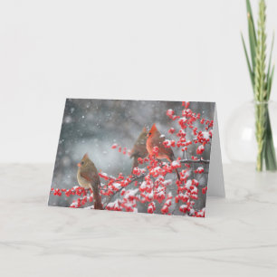 Northern Cardinals Marion, Illinois Card